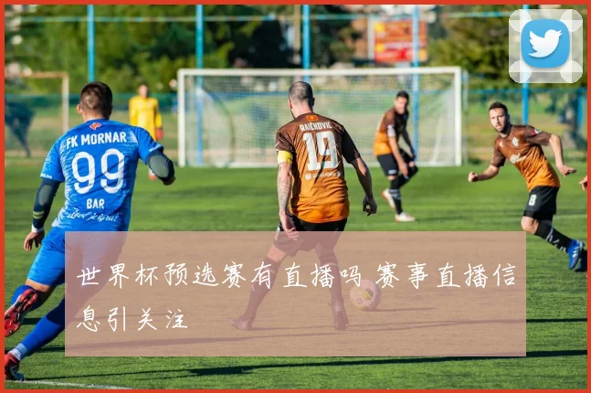 世界杯预选赛有直播吗 赛事直播信息引关注