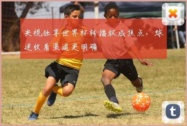 央视独享世界杯转播权成焦点，球迷收看渠道更明确