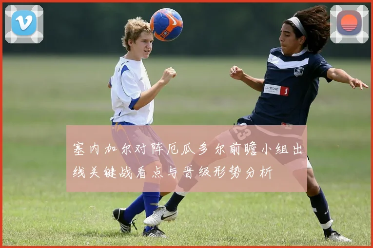塞内加尔对阵厄瓜多尔前瞻小组出线关键战看点与晋级形势分析