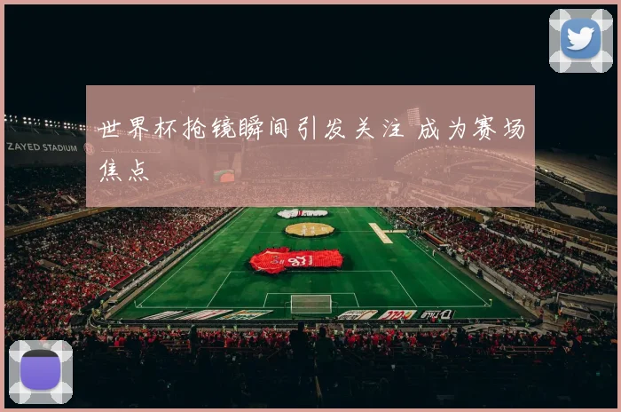 世界杯抢镜瞬间引发关注 成为赛场焦点