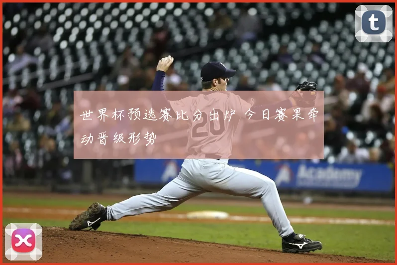 世界杯预选赛比分出炉 今日赛果牵动晋级形势