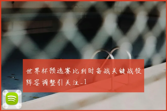 世界杯预选赛比利时备战关键战役阵容调整引关注_1