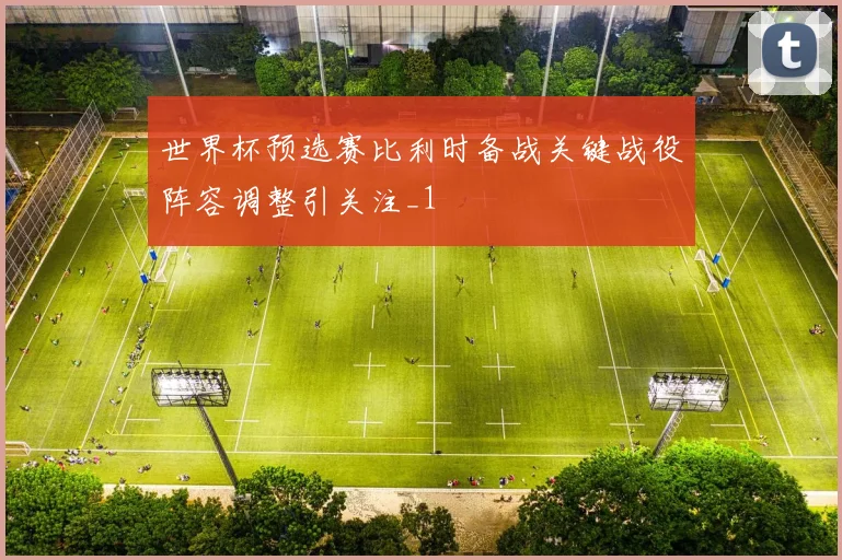 世界杯预选赛比利时备战关键战役阵容调整引关注_1