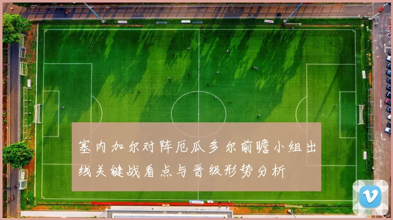 塞内加尔对阵厄瓜多尔前瞻小组出线关键战看点与晋级形势分析